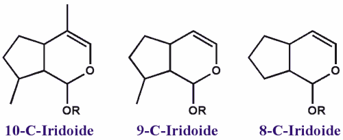 iridoide.gif (5969 Byte)